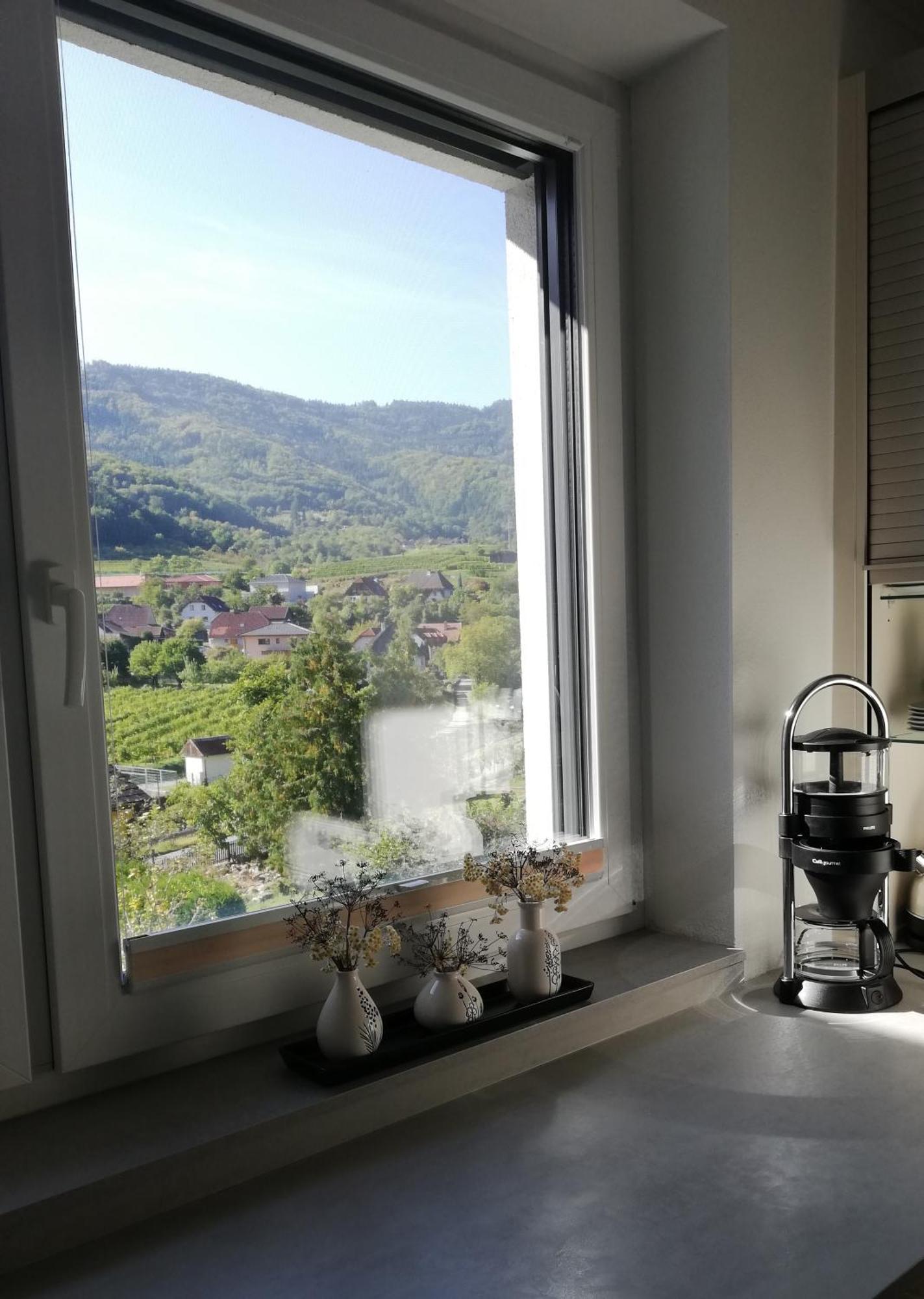 Ferienhaus Johanna Spitz an der Donau Εξωτερικό φωτογραφία
